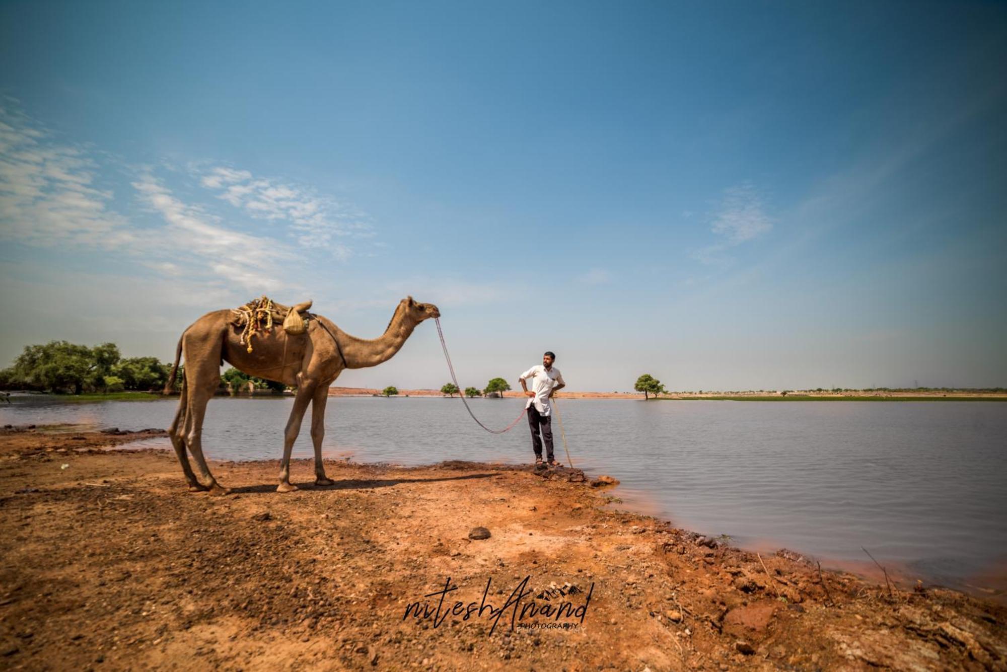 Hotel Vasudev Niwas Jaisalmer Dış mekan fotoğraf